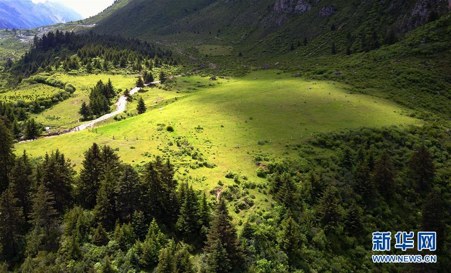 緑に囲まれた山奧にあるチベット族の秘境　甘粛省