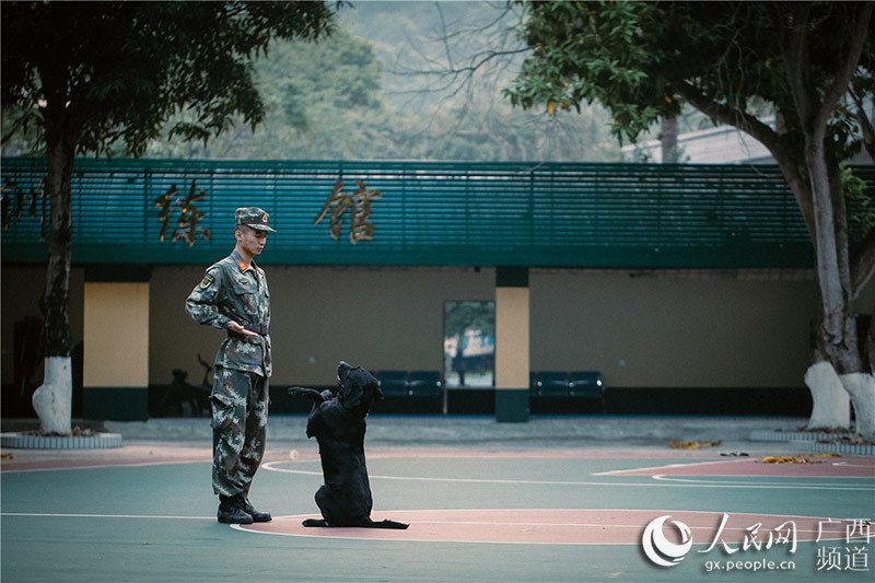 中國とベトナムの國境で活躍する麻薬探知犬