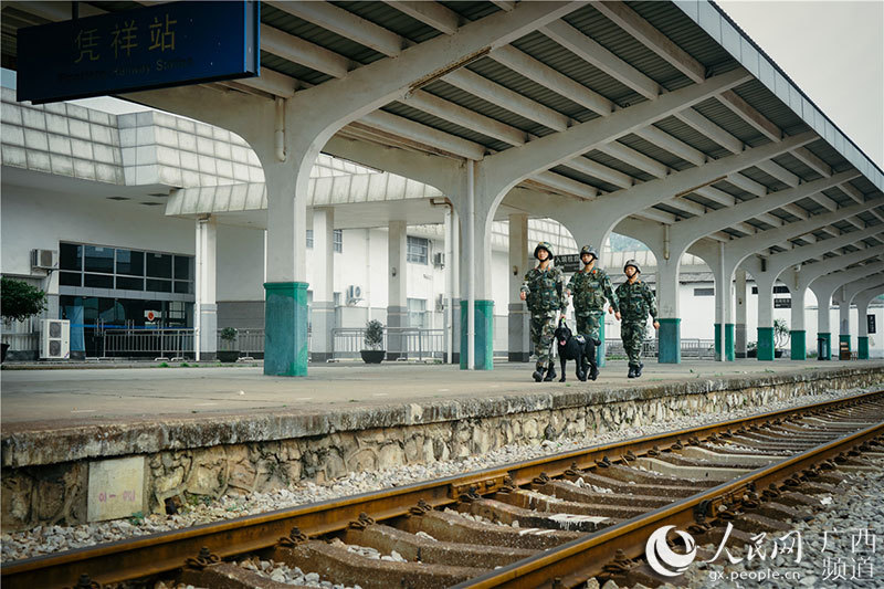 中國とベトナムの國境で活躍する麻薬探知犬