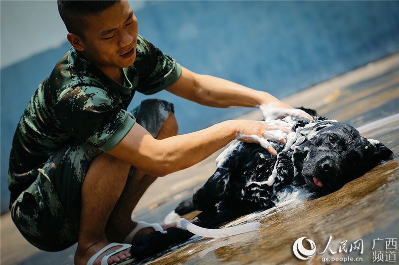 中國(guó)とベトナムの國(guó)境で活躍する麻薬探知犬