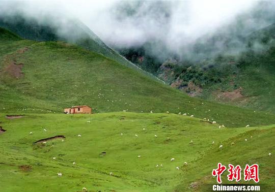 大自然広がる祁連山　羊が草をはむのどかで美しい光景