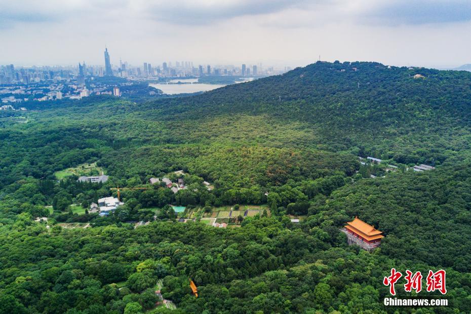 今年で世界遺産登録14周年　明朝最初の陵墓?明孝陵　南京