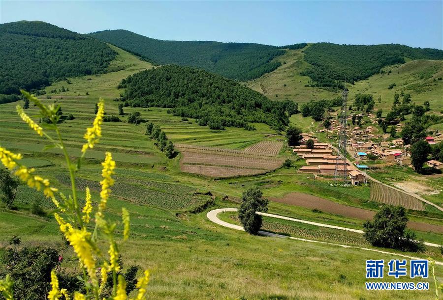 爽やかな緑広がる崇禮區(qū)の夏の風(fēng)景　河北省