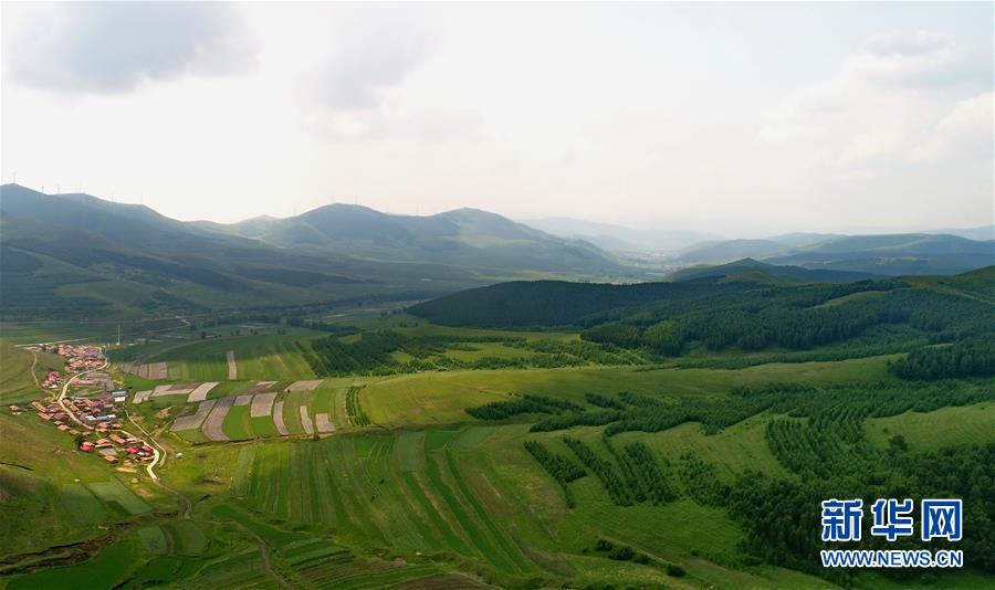 爽やかな緑広がる崇禮區(qū)の夏の風(fēng)景　河北省