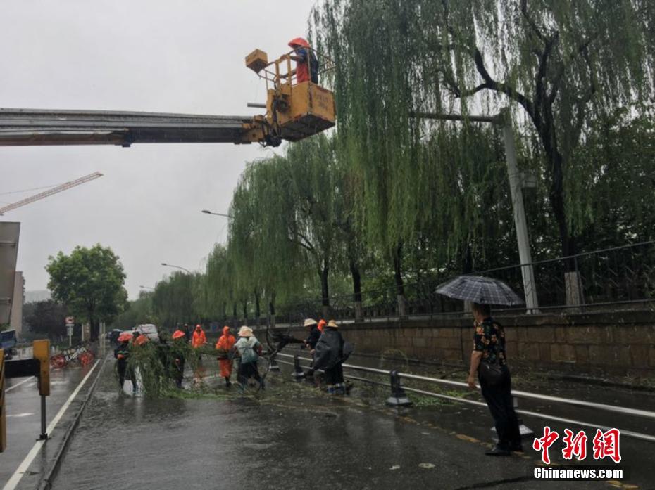 継続的な豪雨で一部冠水や樹(shù)木が倒れる被害　四川省綿陽(yáng)市