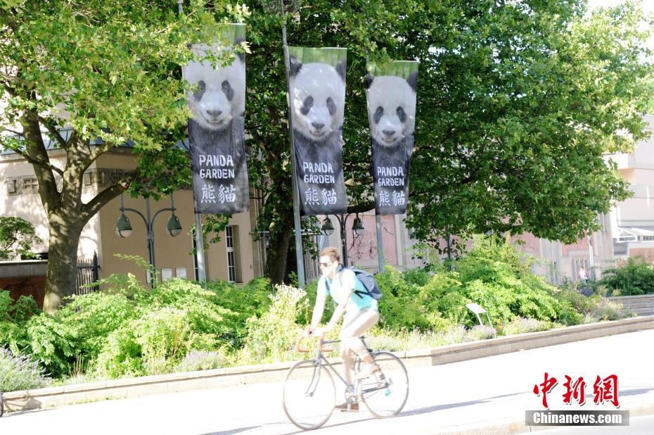 ベルリンに5年ぶりのパンダ到來(lái)、パンダ館は竹に囲まれた豪邸
