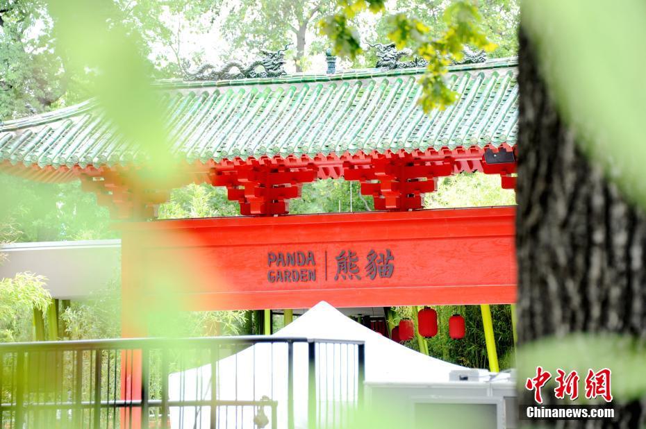 ベルリンに5年ぶりのパンダ到來、パンダ館は竹に囲まれた豪邸