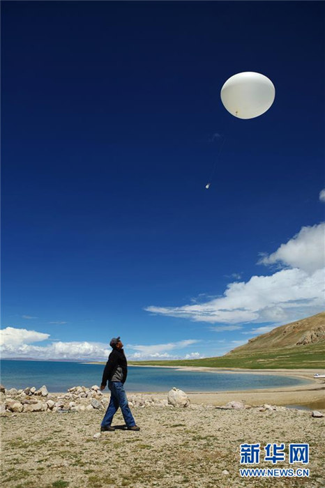 中國(guó)人科學(xué)者、チベット高原の動(dòng)植物を観測(cè)