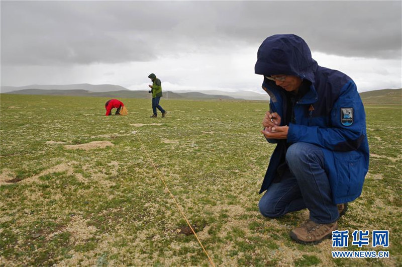 中國人科學(xué)者、チベット高原の動植物を観測