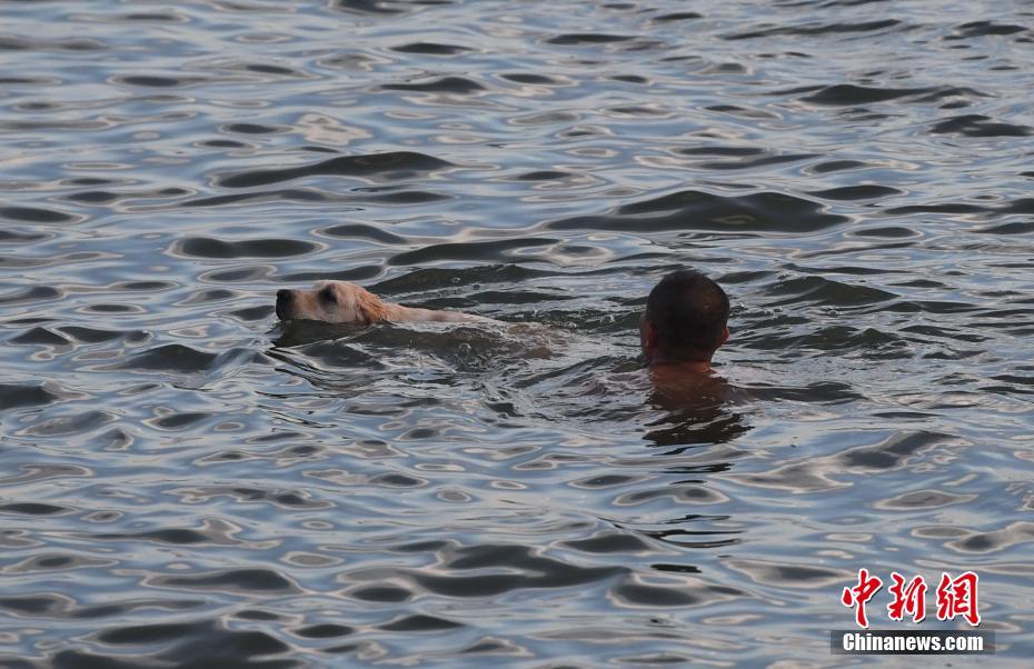 猛暑が続く廈門市、市民たちは海辺で水遊び