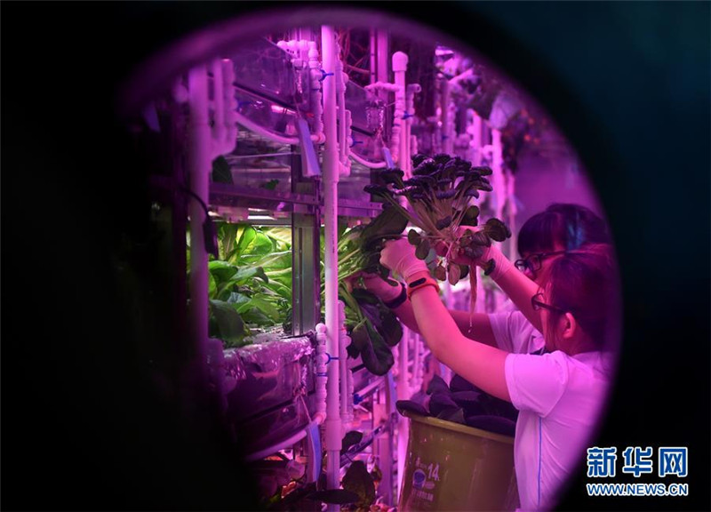 「月宮365計畫」実験、第2陣の被験者に交代