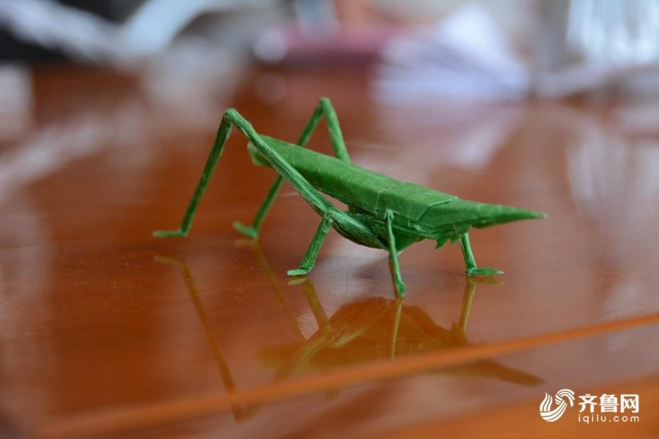 蕓は身を助ける　山東省の受験生が折り紙の特技で大學(xué)合格