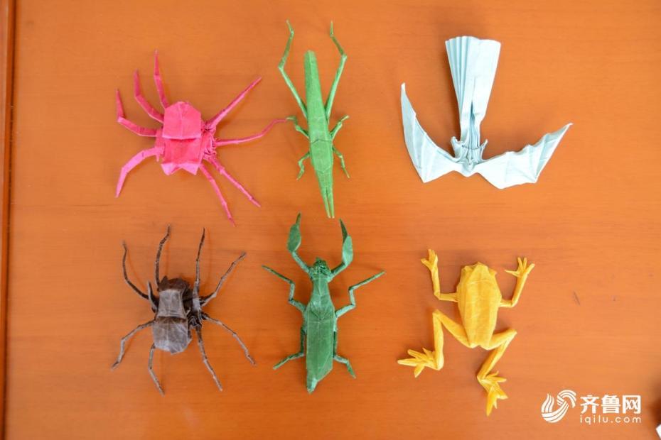 蕓は身を助ける　山東省の受験生が折り紙の特技で大學(xué)合格