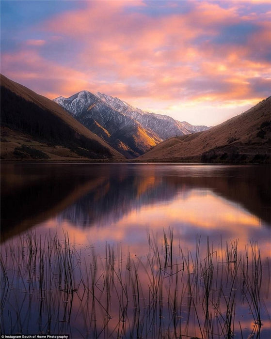 ニュージーランドの壯麗な夜空の寫真たち