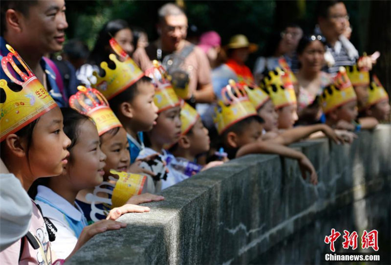 パンダの兄弟が杭州で誕生日パーティ