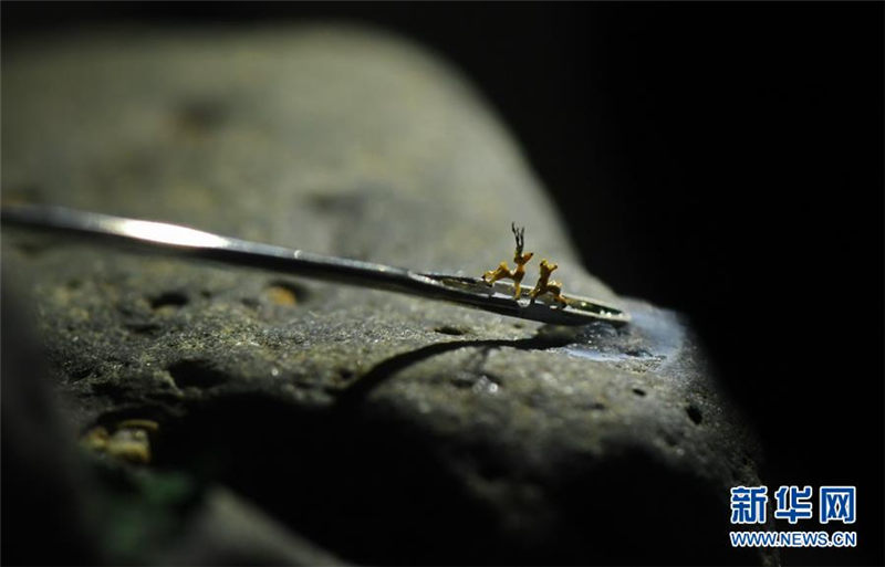 針の穴を通るほどの極小の世界　臺灣のミニチュア彫刻家