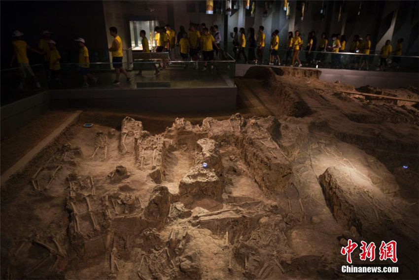 華人の教師や學(xué)生ら、南京大虐殺遭難同胞記念館で死者を弔う