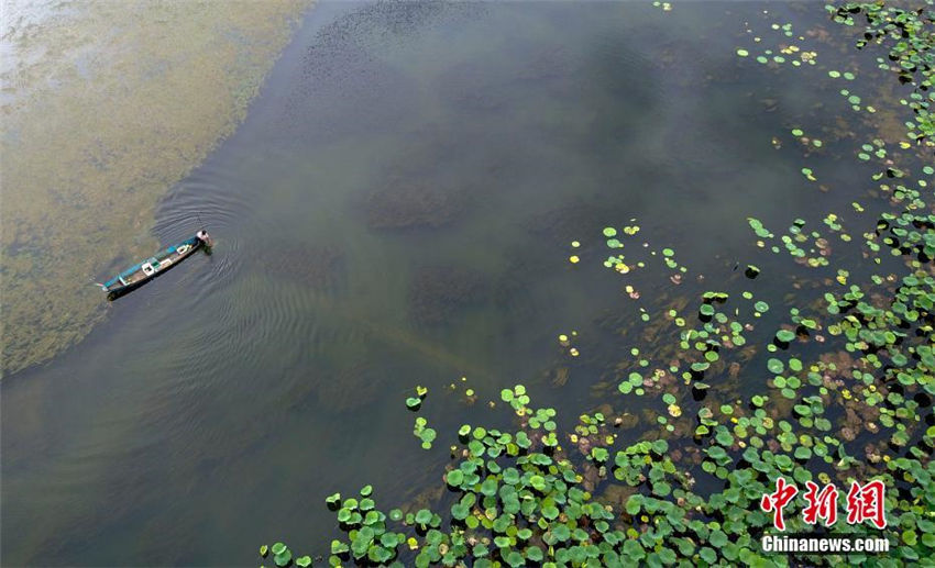 ドラマと高速鉄道開通で知名度上昇中の普者黒景勝地　雲(yún)南省
