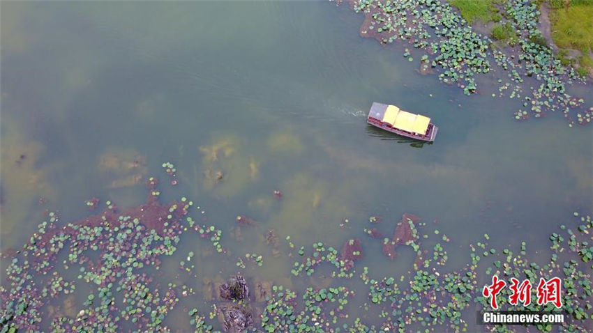 ドラマと高速鉄道開通で知名度上昇中の普者黒景勝地　雲(yún)南省