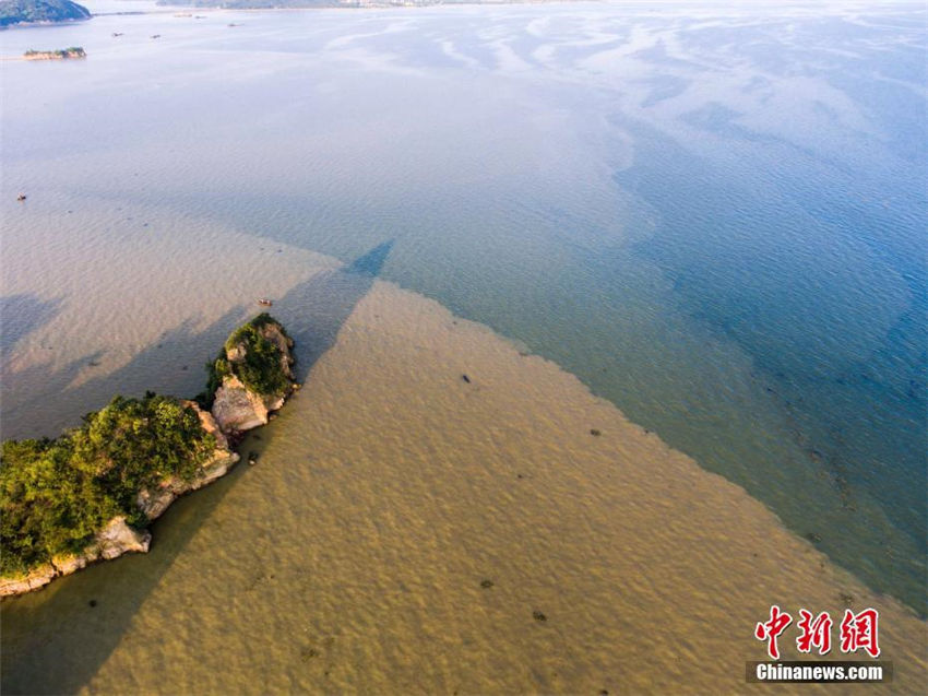 都昌水域に縞模様のような色の境界線　江西省