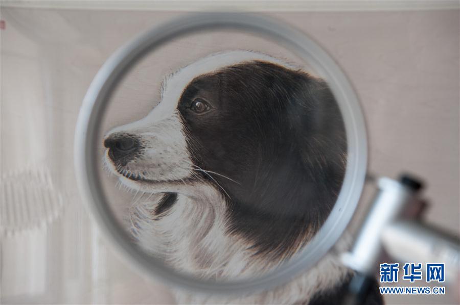 千年受け継がれて來(lái)た伝統(tǒng)工蕓「焼き絵」