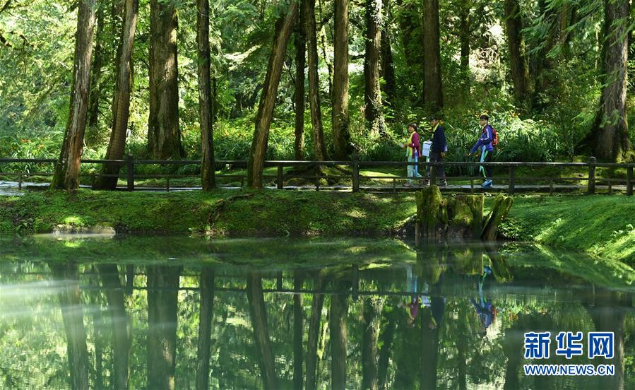 夏休みの観光シーズンも客足伸びず、露店も閑散　臺灣地區(qū)