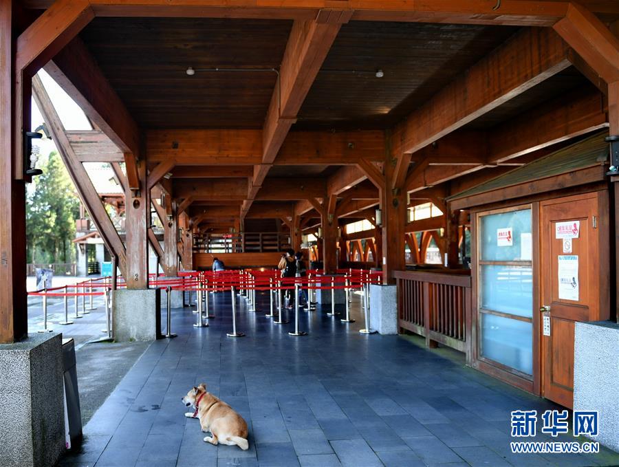 夏休みの観光シーズンも客足伸びず、露店も閑散　臺(tái)灣地區(qū)