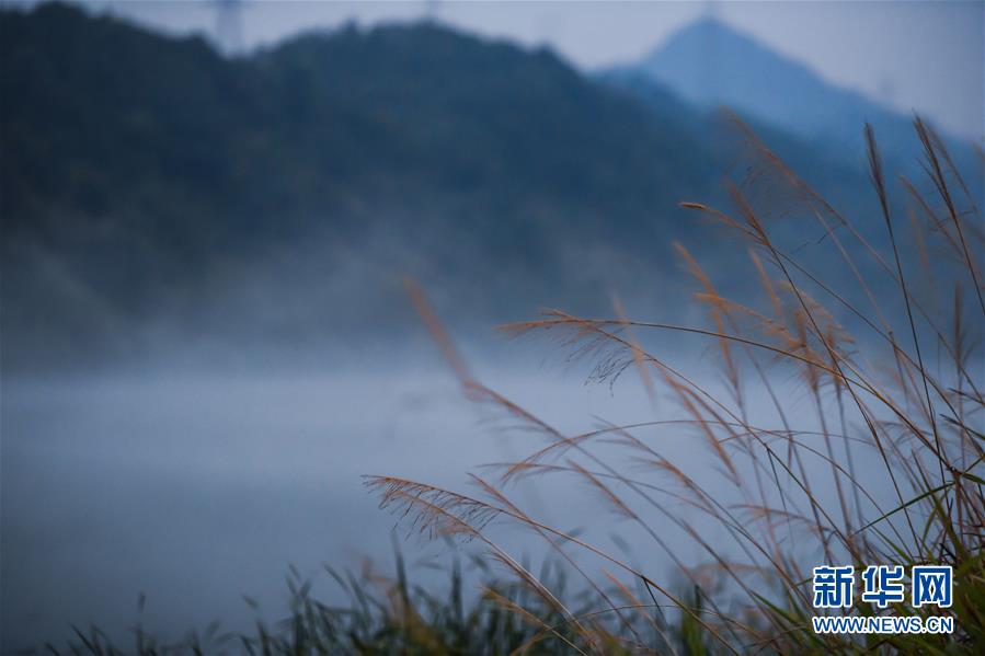 自然織り成す幻想的な景色　白いもやに包まれる浙江省の川