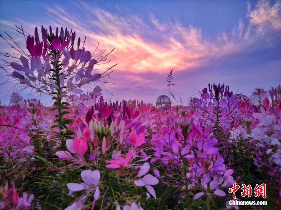 雨上がりの紫金苑に現(xiàn)れた美しい夕焼け空　甘粛省