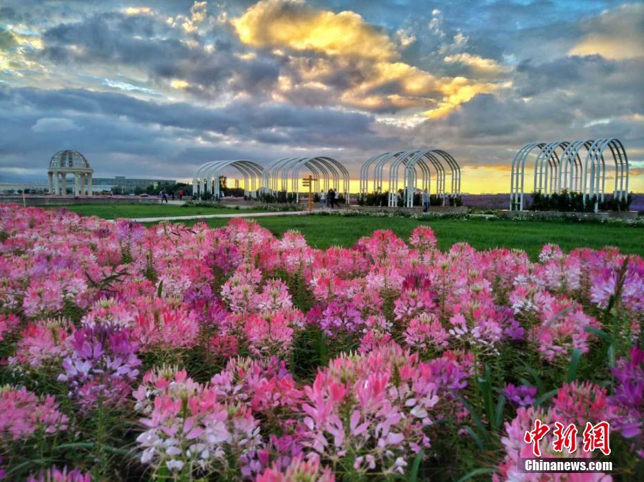 雨上がりの紫金苑に現(xiàn)れた美しい夕焼け空　甘粛省