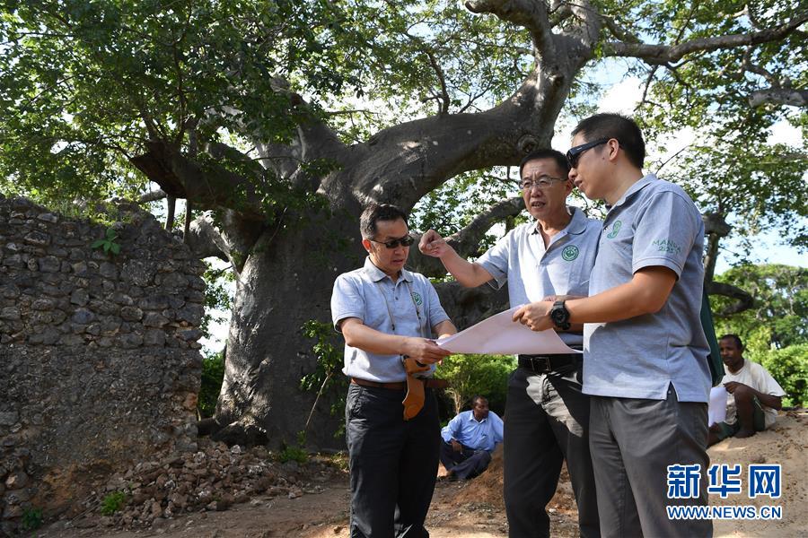 遺跡で「鄭和第1次航海時代」の中國の血筋とみられる人骨発見　ケニア