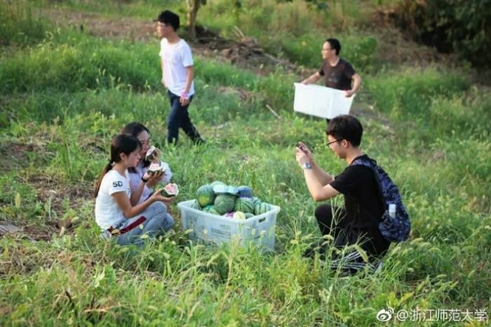 スイカをタダ食い！浙江師範大學、キャンパス內(nèi)でスイカ狩りイベント開催　