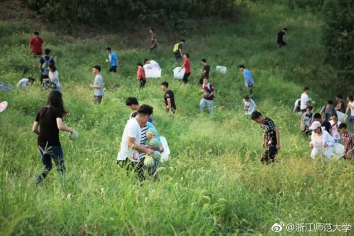 スイカをタダ食い！浙江師範(fàn)大學(xué)、キャンパス內(nèi)でスイカ狩りイベント開催　