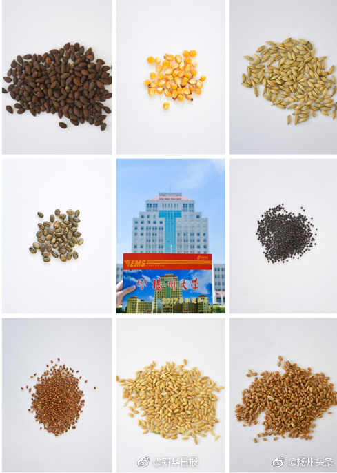 大學の合格通知書に種を同封　揚州大學農(nóng)學院