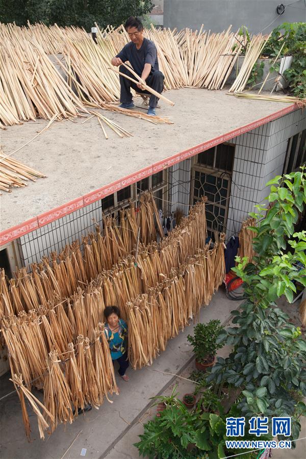 「曬秋」で立秋を歓迎する農(nóng)家　