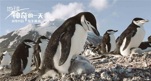 中英合作ドキュメンタリー映畫(huà)「Earth: One Amazing Day」が11日中國(guó)公開(kāi)　