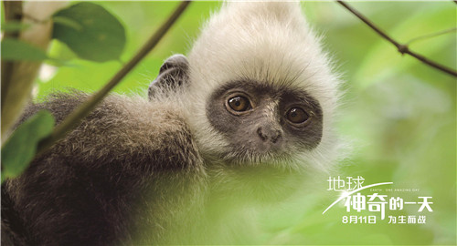 中英合作ドキュメンタリー映畫「Earth: One Amazing Day」が11日中國(guó)公開　