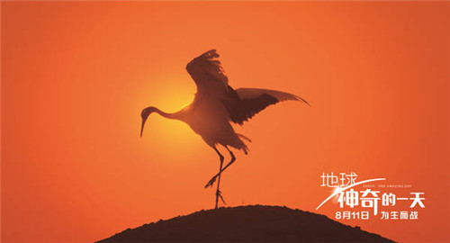中英合作ドキュメンタリー映畫「Earth: One Amazing Day」が11日中國(guó)公開　