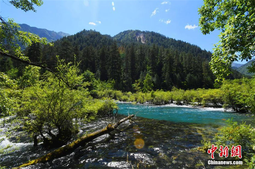 震災(zāi)後もなお美しさを殘す九寨溝?樹(shù)正群?！∷拇ㄊ?></a></td></tr><tr><td class=