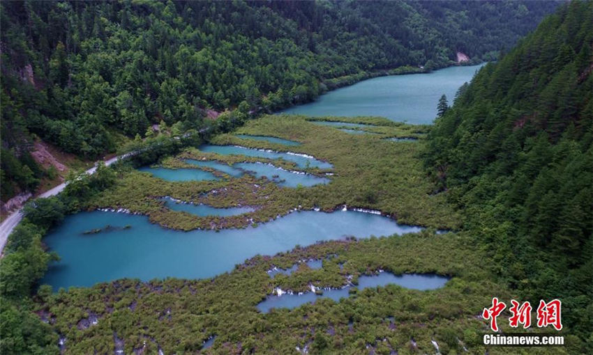 上空から俯瞰した九寨溝の池、震災後も変わらず青々と美しい色　四川省