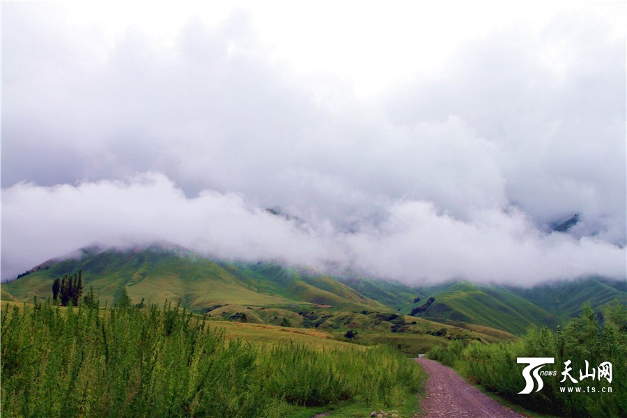 雨上がりのキュネス県坎蘇溝に広がる雲(yún)霧がまるで仙境　新疆