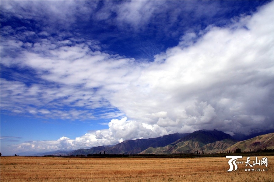雨上がりのキュネス県坎蘇溝に広がる雲(yún)霧がまるで仙境　新疆