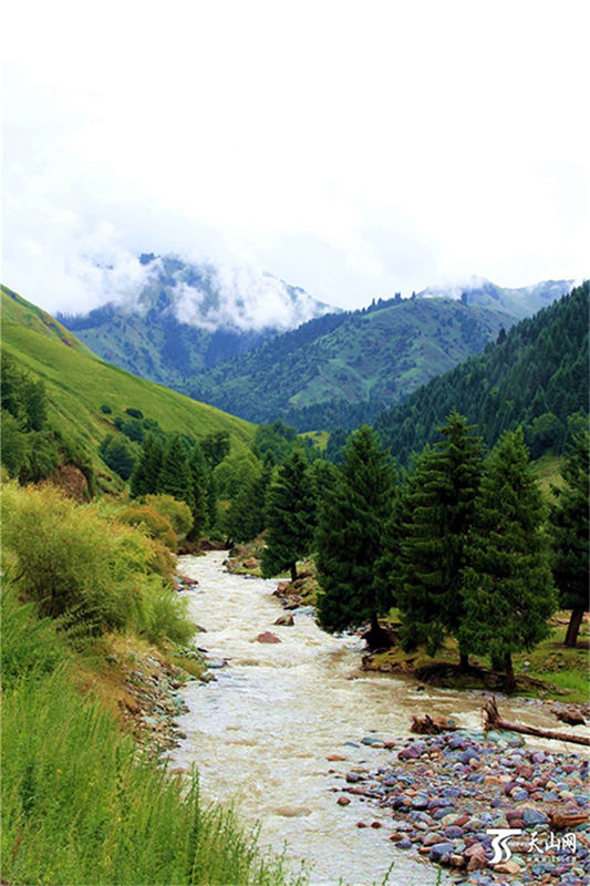 雨上がりのキュネス県坎蘇溝に広がる雲(yún)霧がまるで仙境　新疆