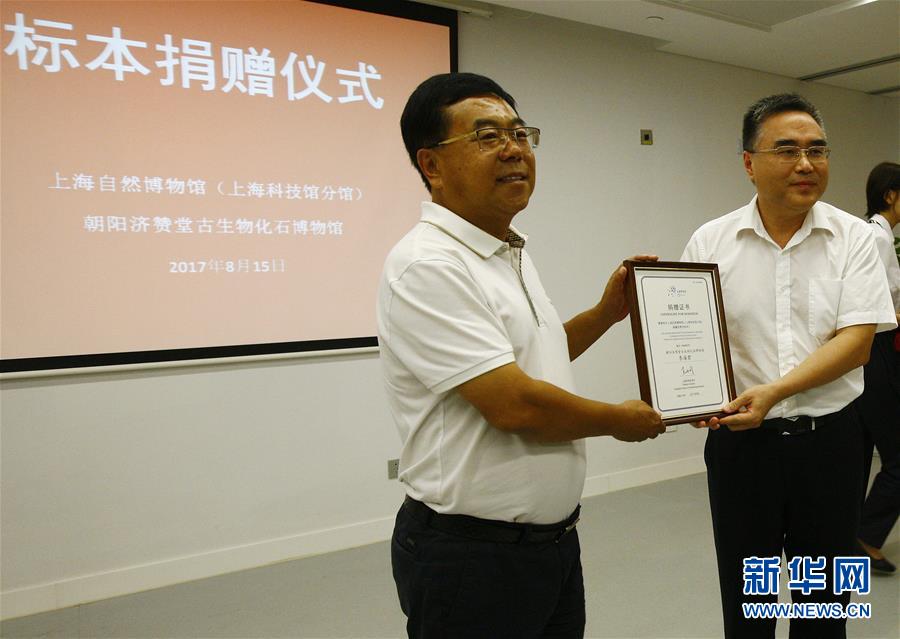 上海自然博物館、10個の古生物化石が寄贈