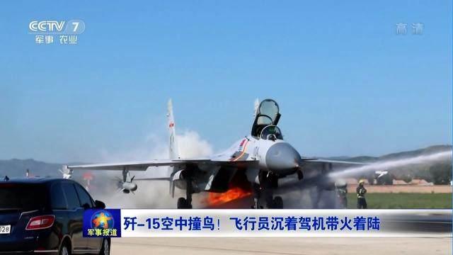 鳥の群れと衝突した戦闘機(jī)から出火　パイロットの冷靜な判斷で著陸成功