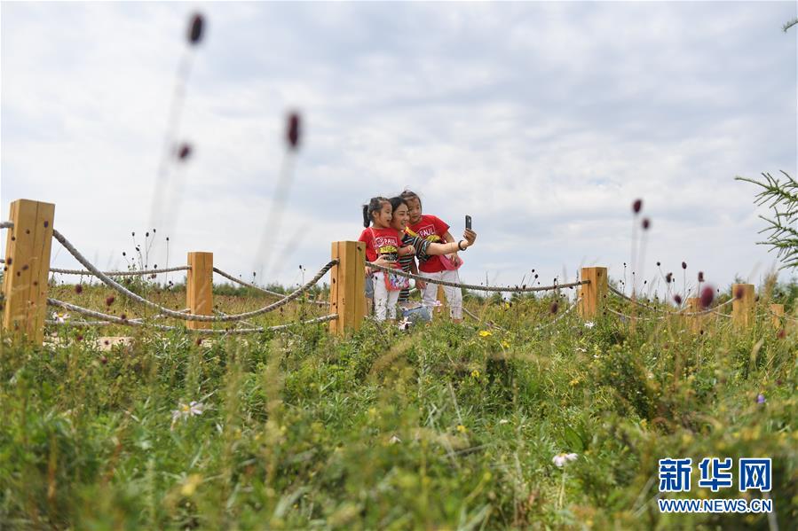 崇禮の鮮やかな夏　河北省