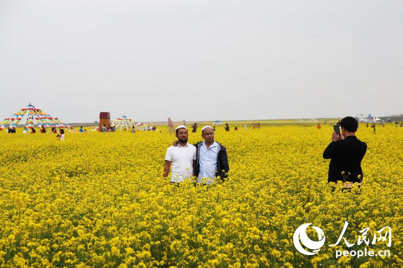 最も美しい景色が見られる時(shí)期となった青海湖　青海省