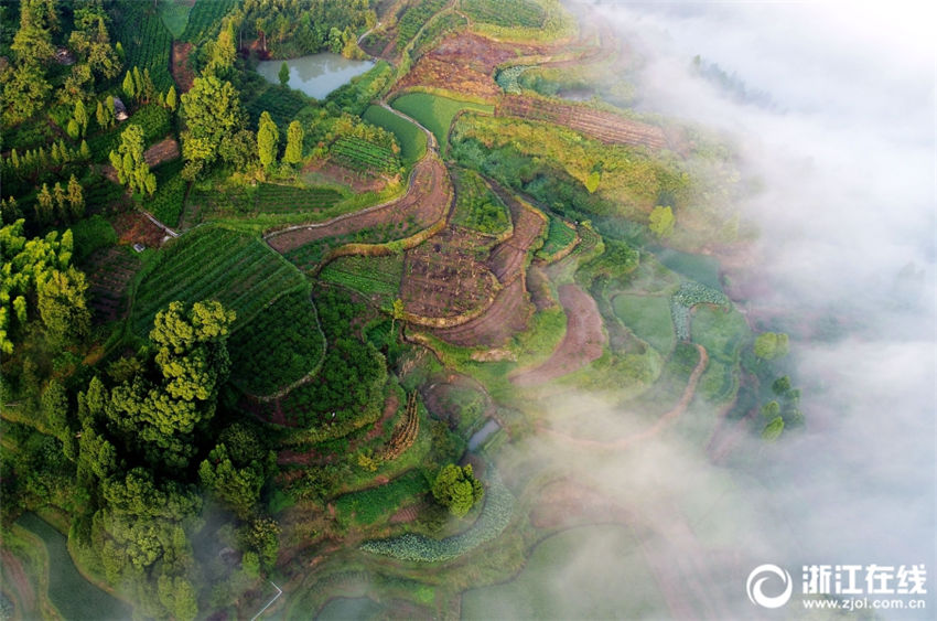 蜃気樓のような神秘的な情景　雲(yún)霧立ち込める仙境の地?方巖　浙江省