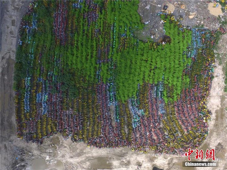 上海にシェア自転車の「墓場」現(xiàn)る　山のように積み上げられた自転車たち