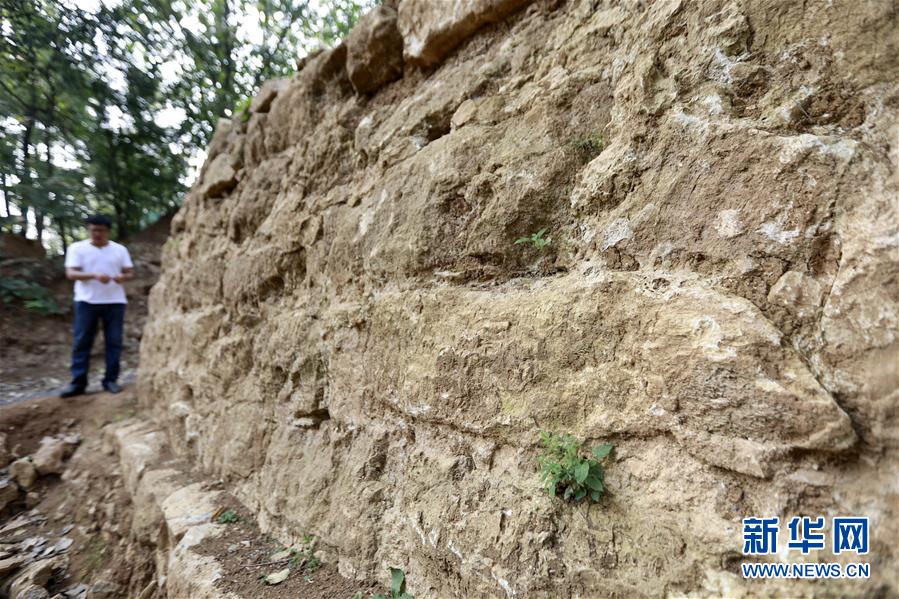 江蘇省で1000年前の文化財発見される